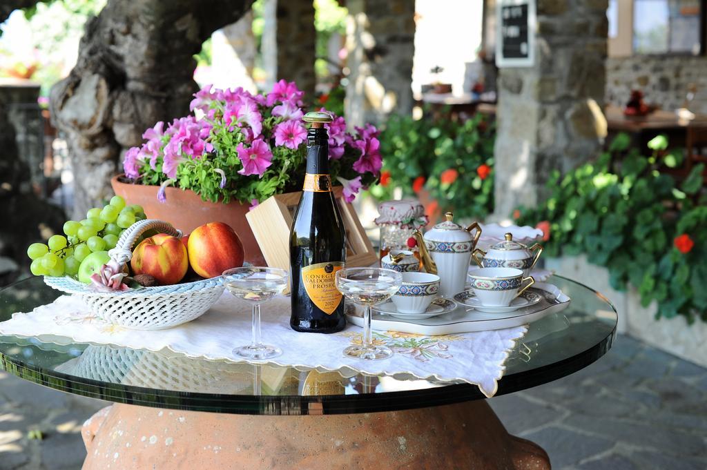 Agriturismo Borgo Mocale Castelfranco di Sopra Exterior foto